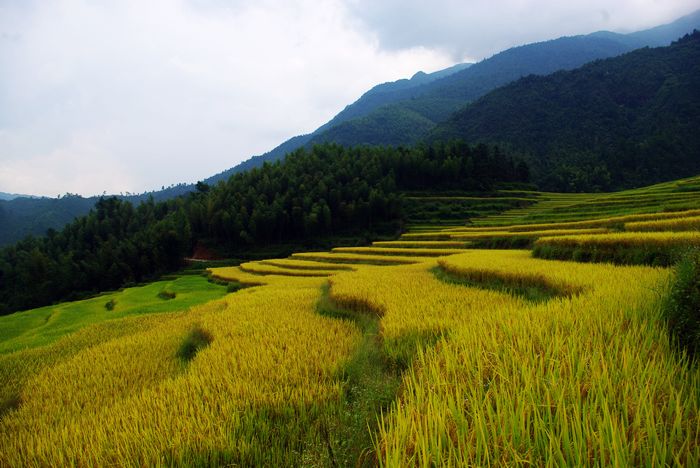 ŷ�Ҵ�����