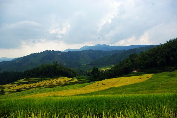 ŷ�Ҵ�����