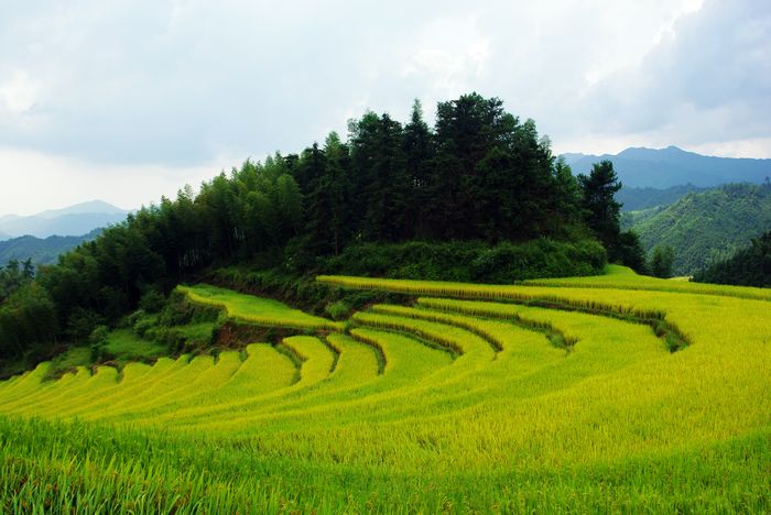 ŷ�Ҵ�����