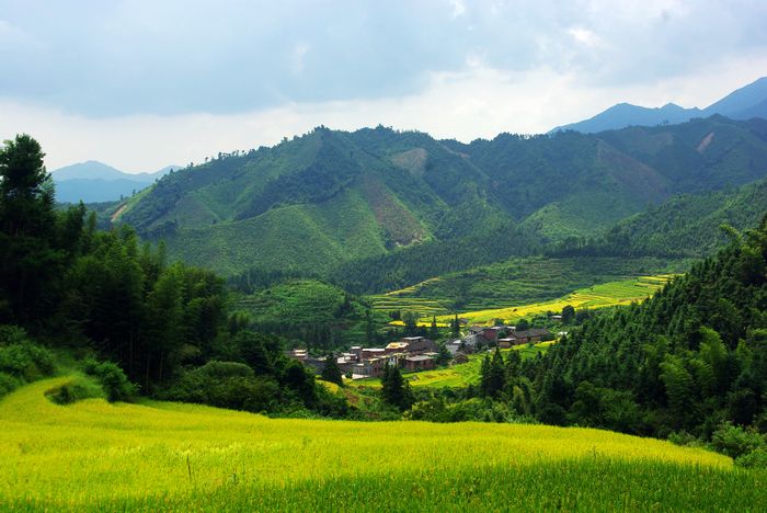 ŷ�Ҵ�����