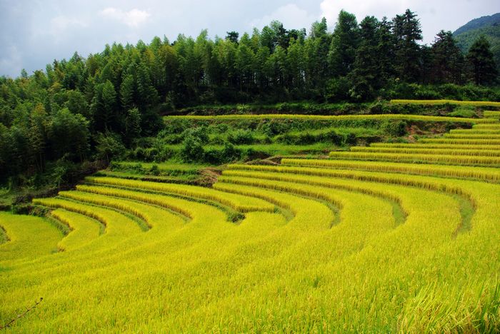 ŷ�Ҵ�����