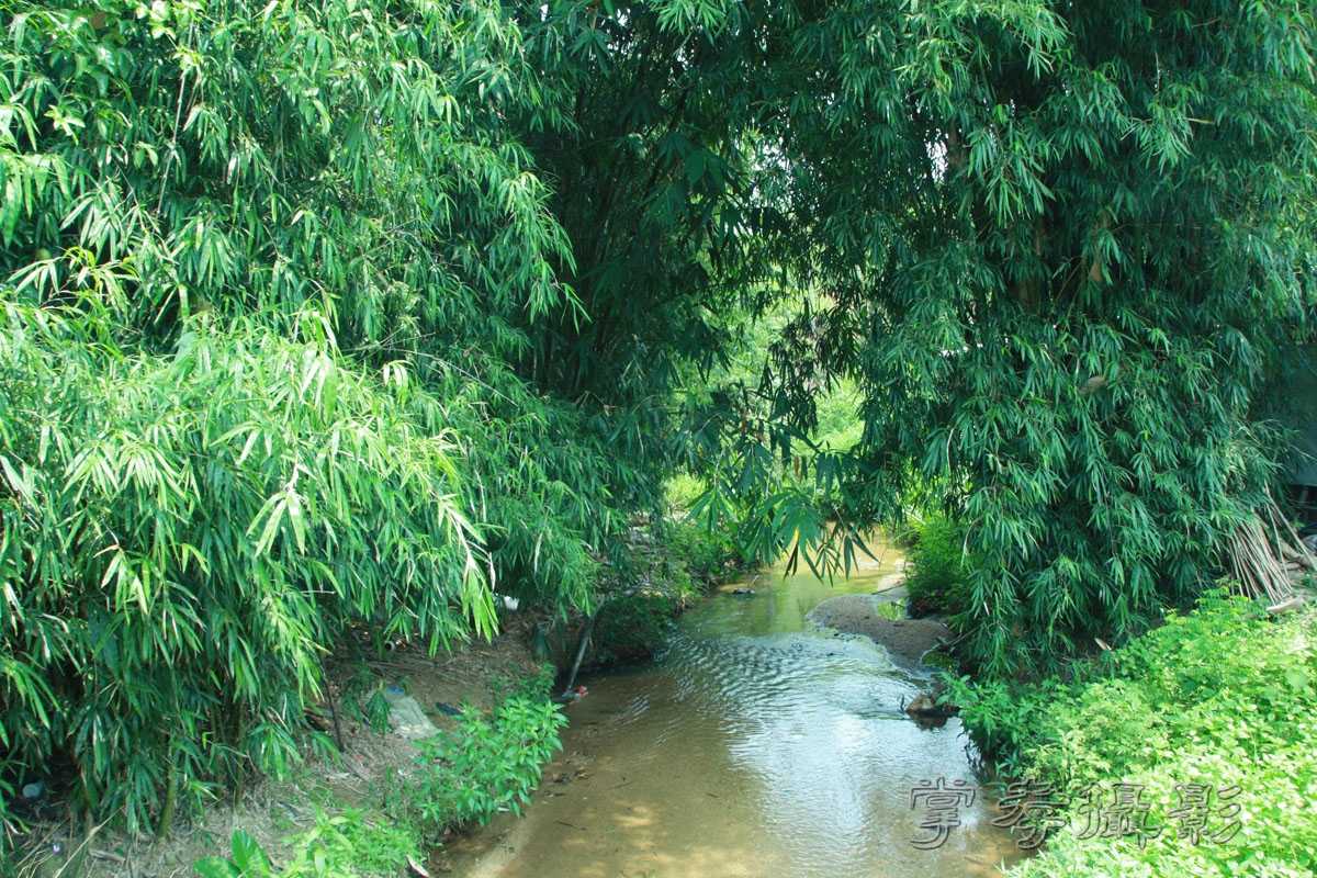 ���������������� (51).jpg