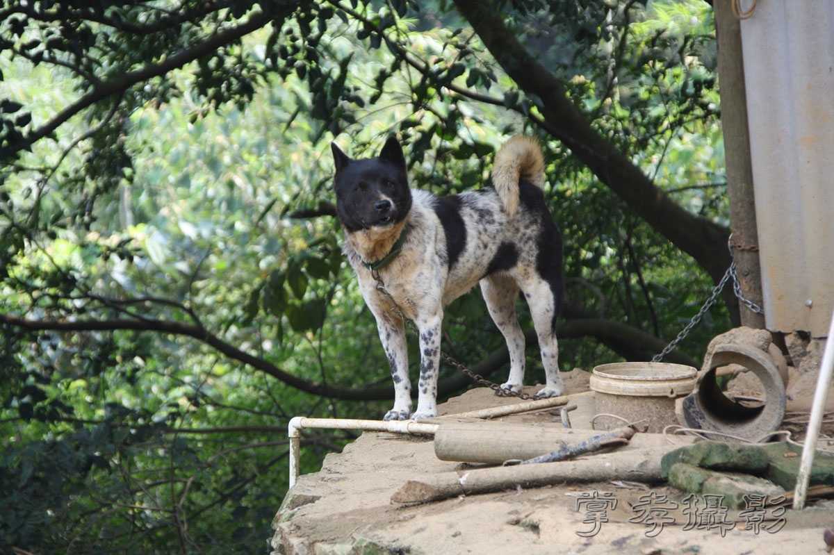 ���������������� (126).jpg