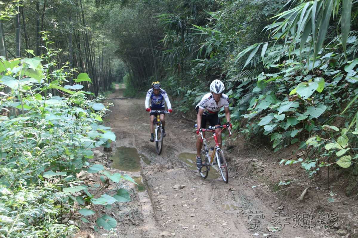 ���������������� (137).jpg