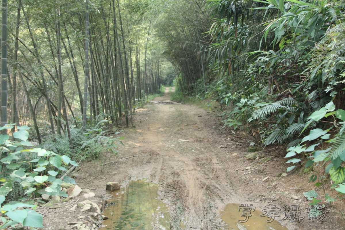 ���������������� (138).jpg