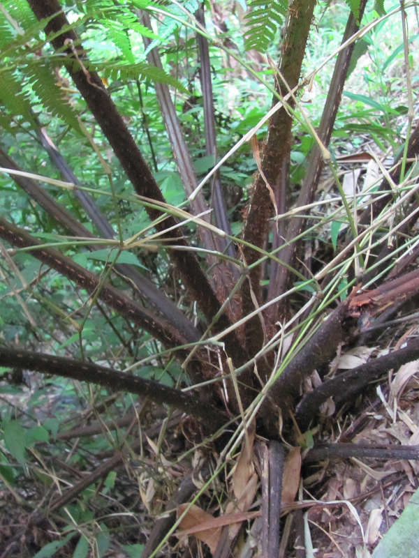 ����·��