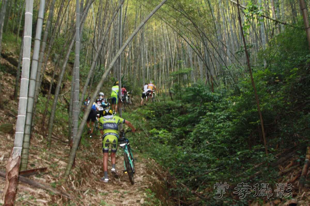 ���������������� (200).jpg