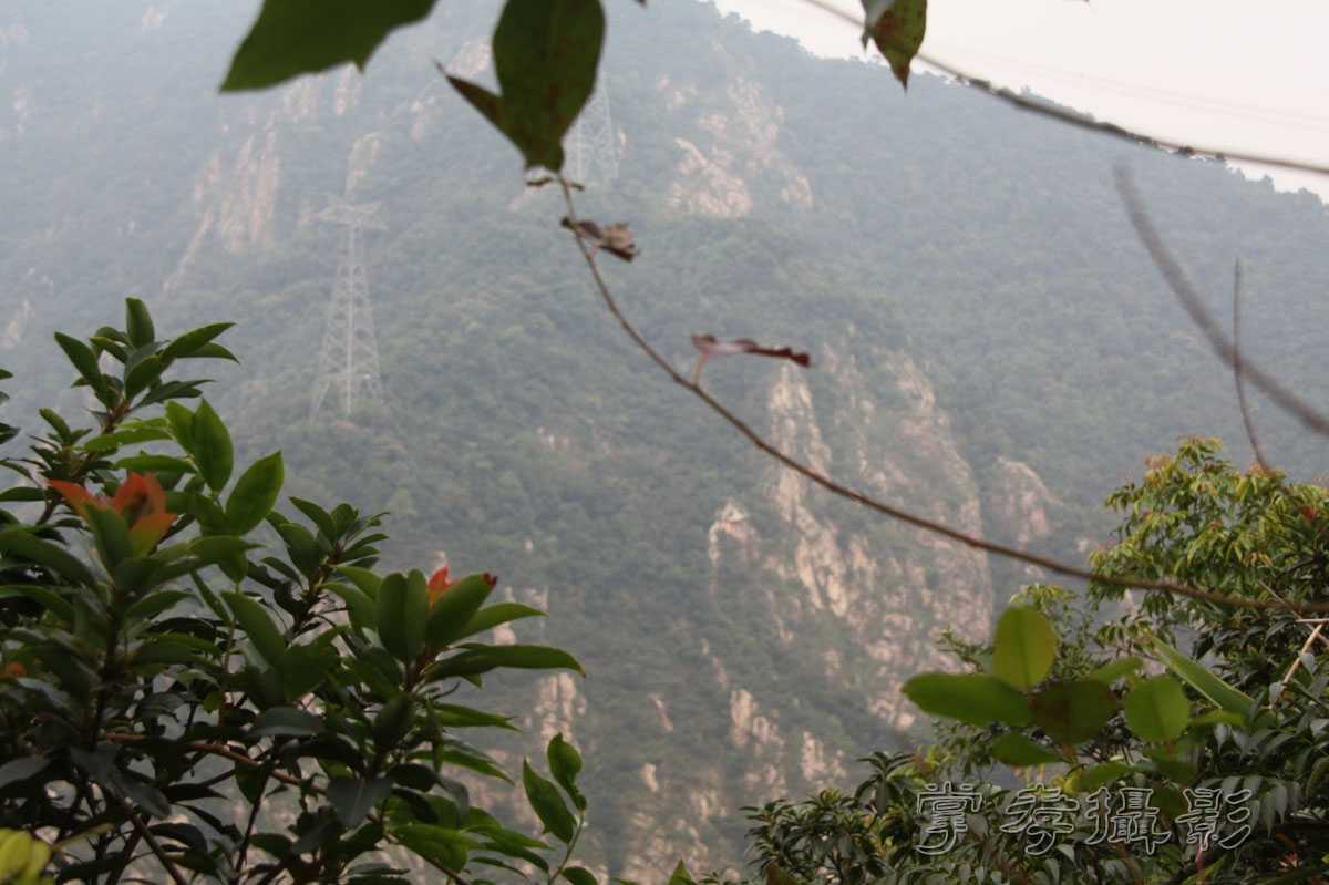 ���������������� (248).jpg