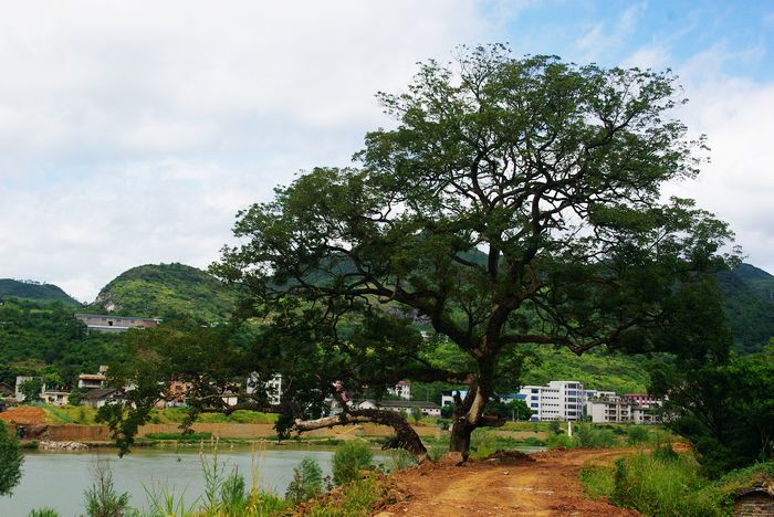 �Ҵ�����