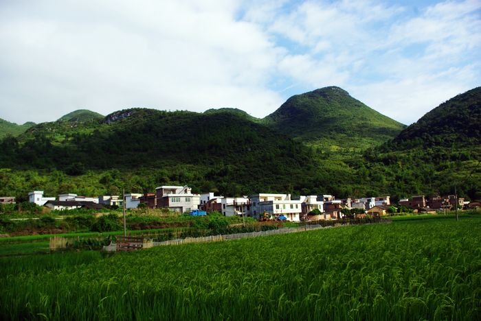 Զ����ˮ����