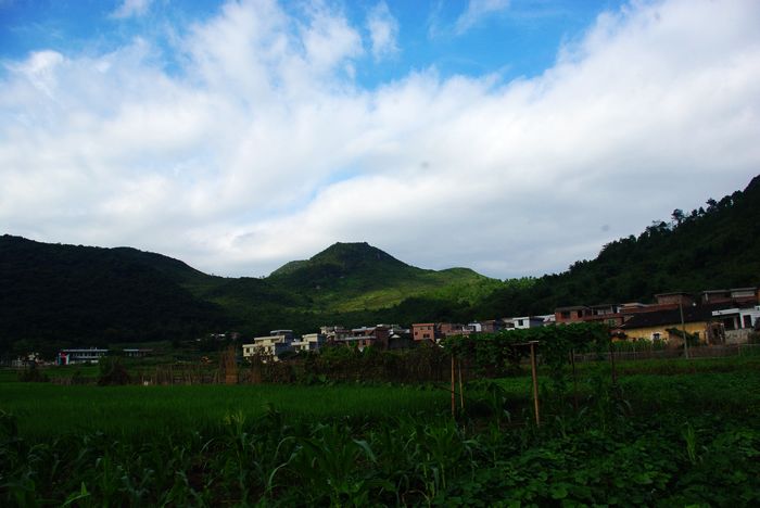 Զ����ˮ����