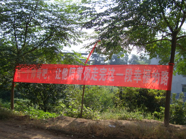 ͽ����Խ�����ŵ� (50).JPG