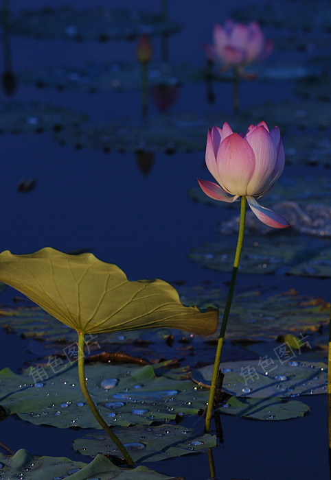 DSC_1891 ����.jpg