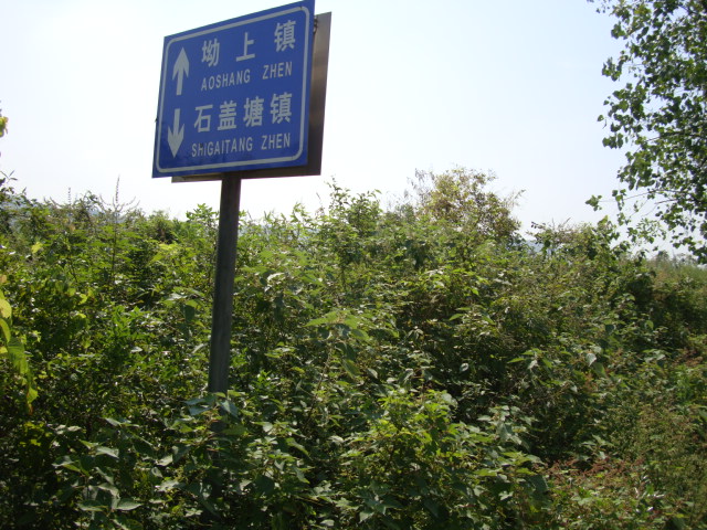 ͽ����Խ�����ŵ� (75).JPG