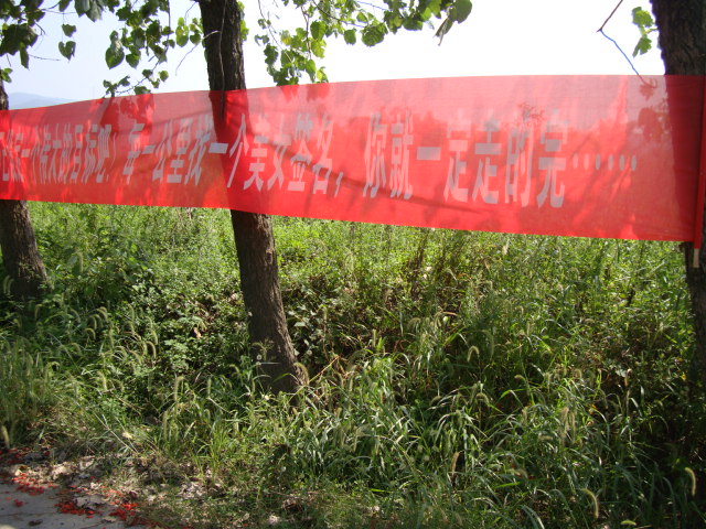 ͽ����Խ�����ŵ� (76).JPG