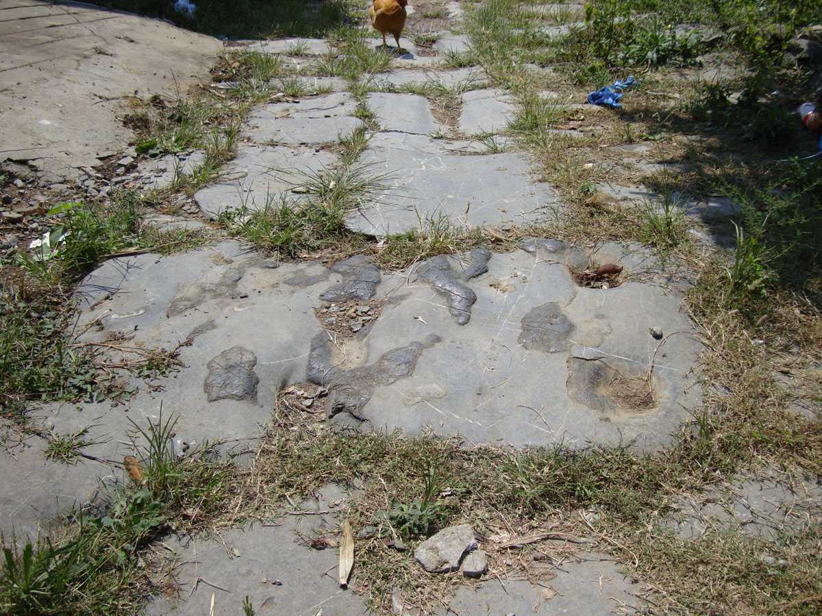 ͽ����Խ�����ŵ� (89).jpg