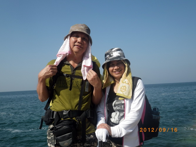 ���Ŵ���ƻ��