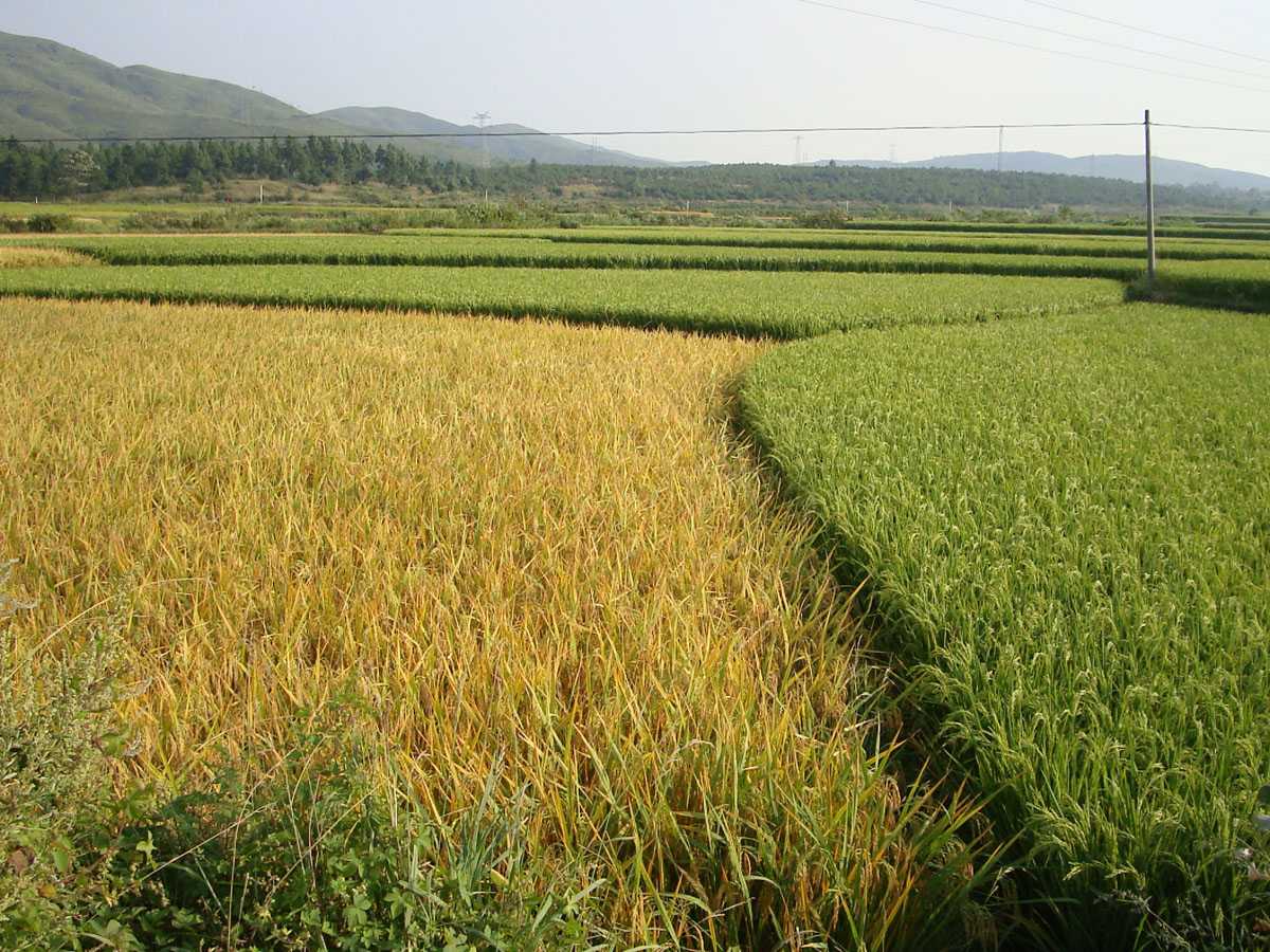 ͽ����Խ�����ŵ� (219).jpg