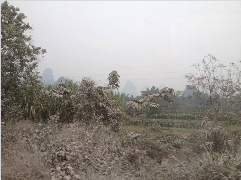 �쵽���ָ�����ʱ�����ߵ�ֲ���е��ɷ�羰����ãã��һƬ������