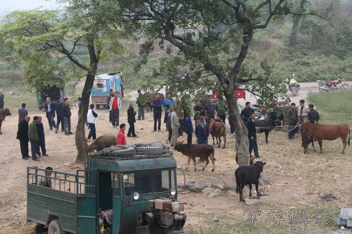 �ɹ���Խ��ʡ (250).jpg