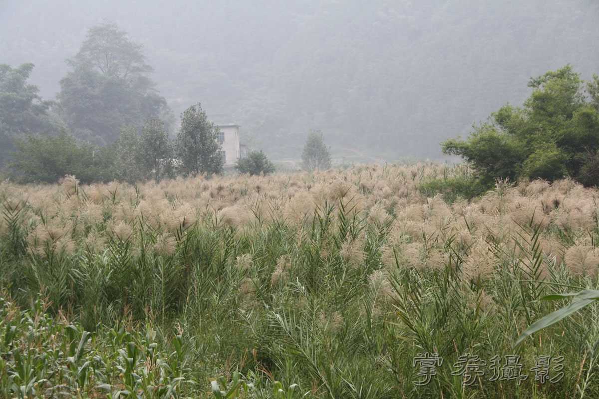 �ɹ���Խ��ʡ (327).jpg