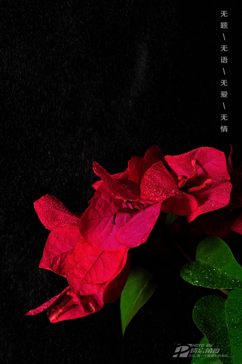 ���� ���� (2).jpg