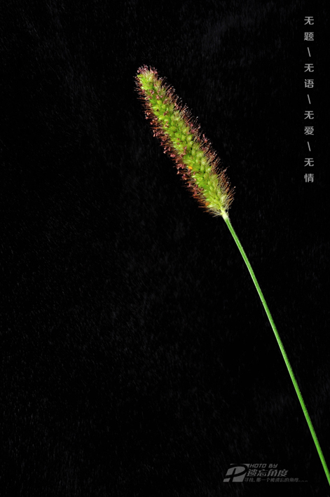 ���� ����.jpg