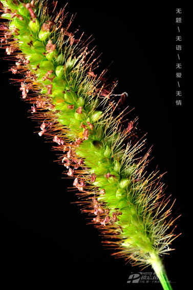 ���� ���� (1).jpg