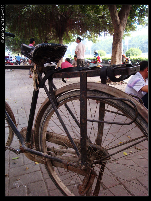 ��ǿ�͵ĳ�β��