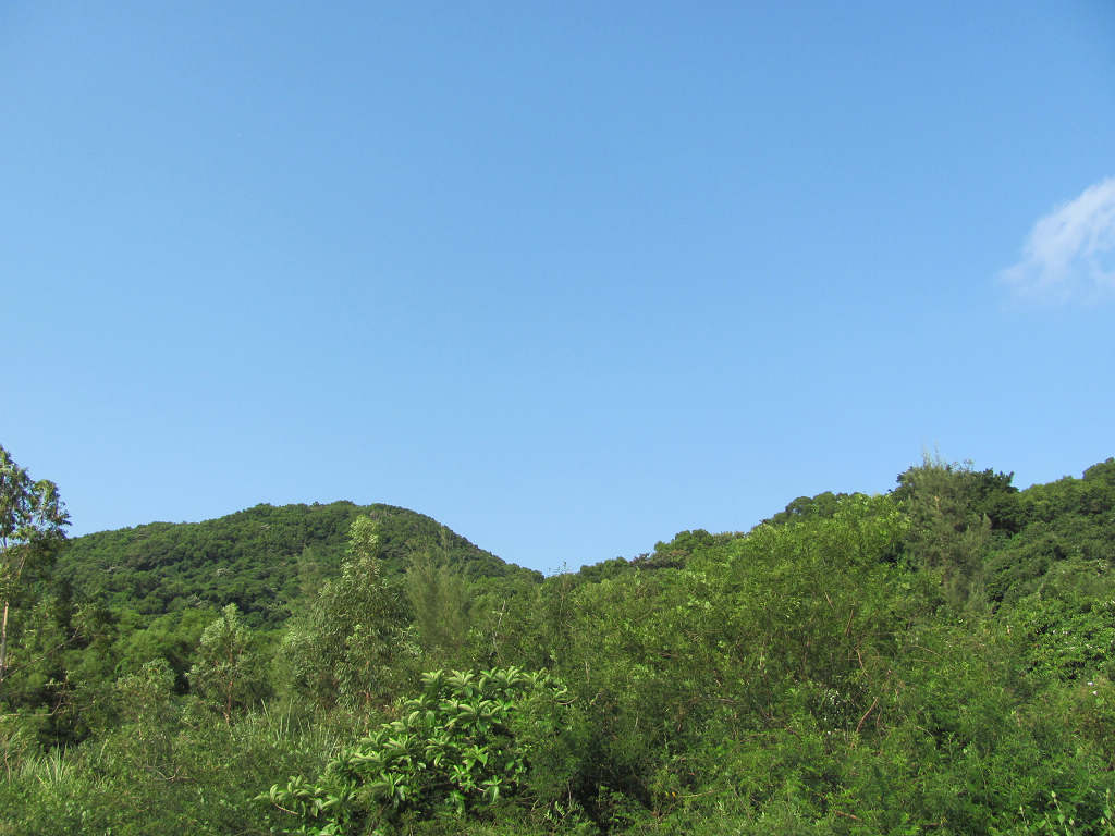 ͽ������