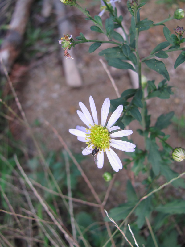 ������·�߾գ������������տơ�