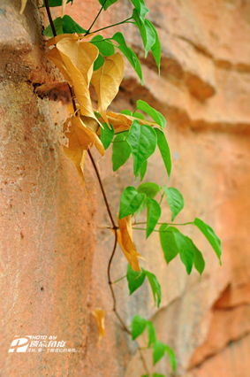 ���� ���� DSC_4980.jpg