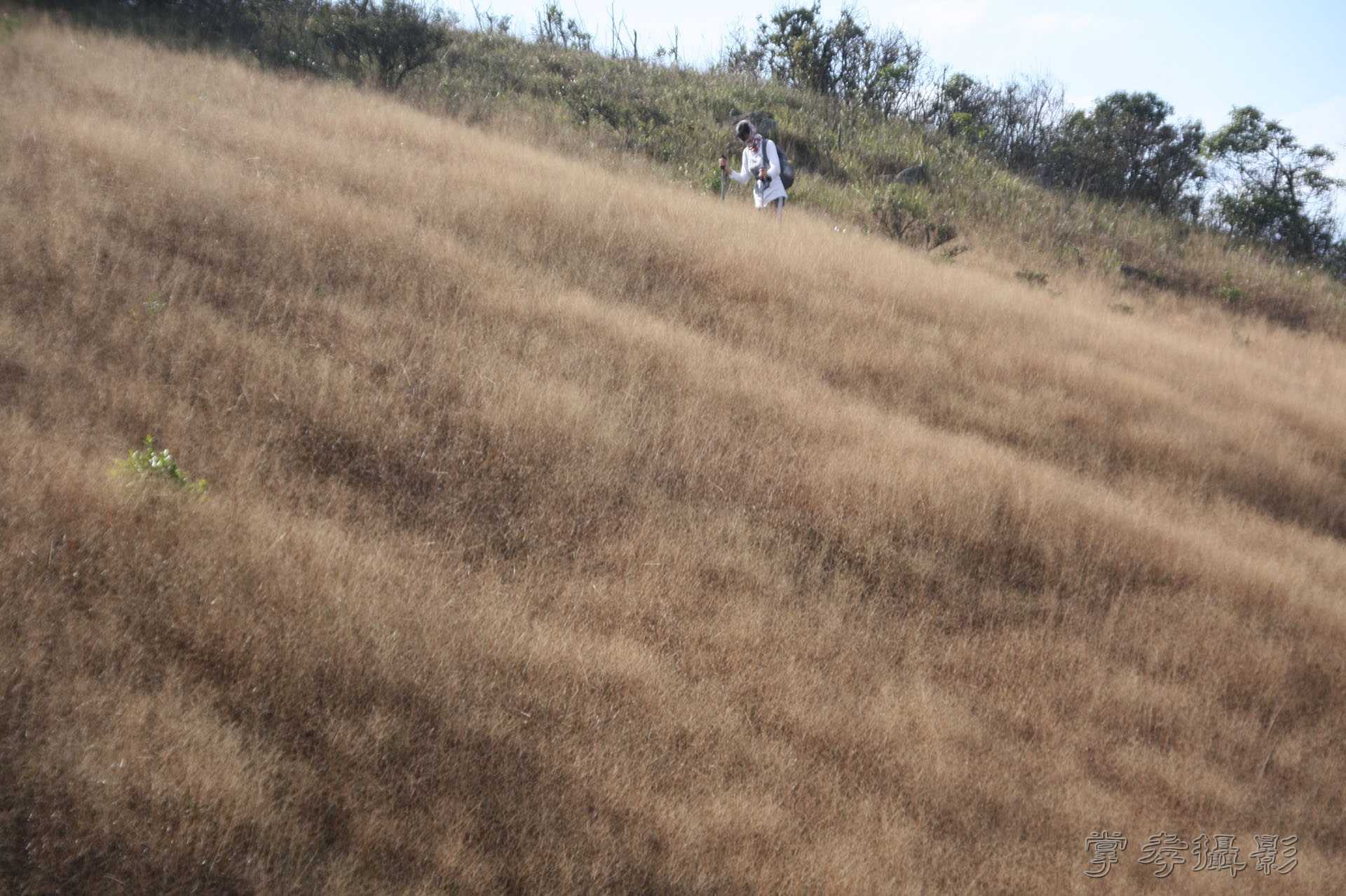 ͽ����Խ��˼�� (134).jpg