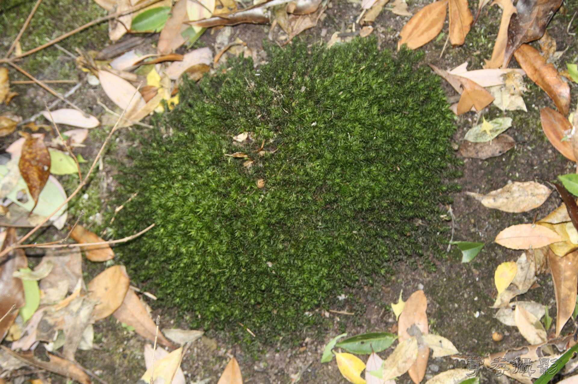 ͽ����Խ��˼�� (143).jpg