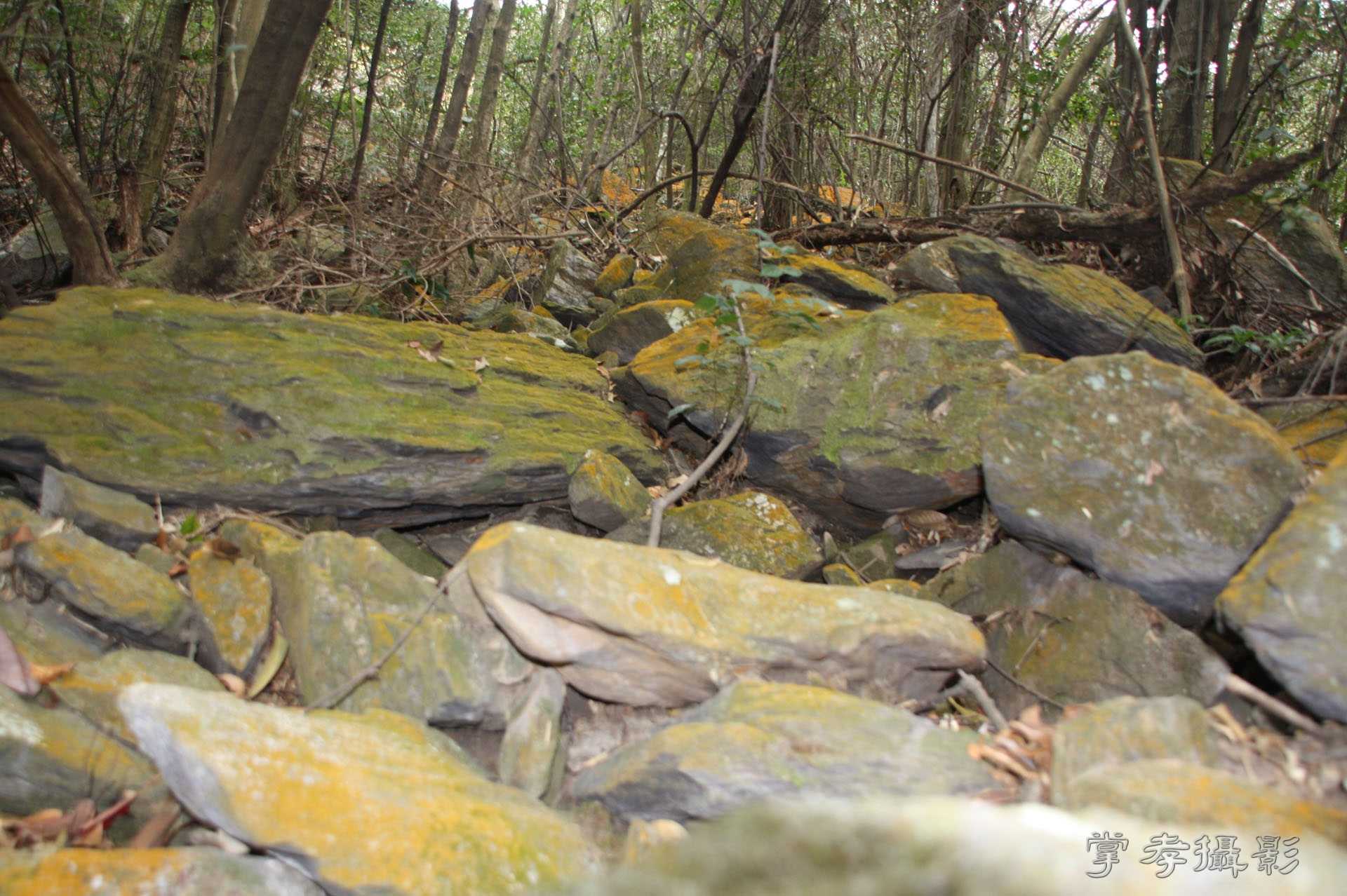 ͽ����Խѩɽ�� (42).jpg