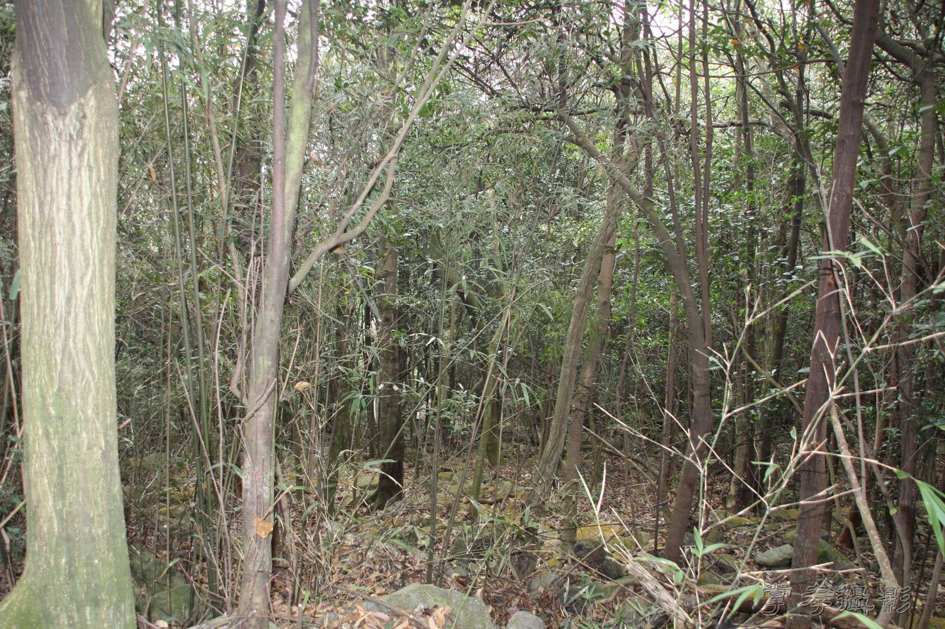 ͽ����Խѩɽ�� (43).jpg