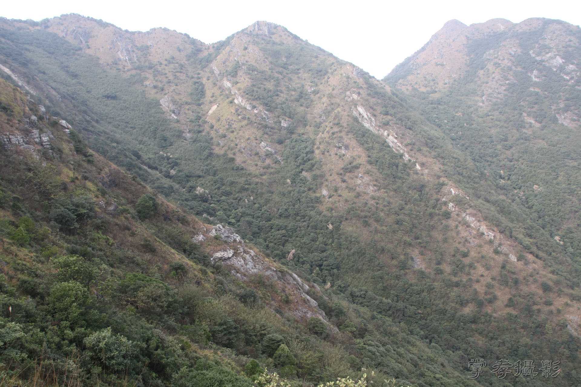 ͽ����Խѩɽ�� (200).jpg