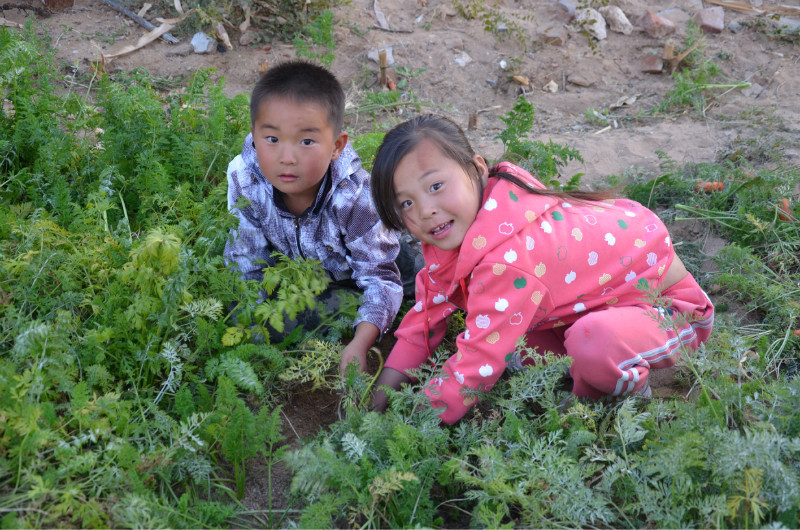 ���ռҵ����Ӻ��ں������������Ů