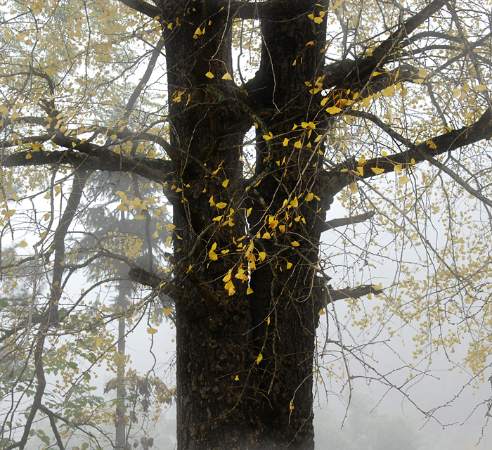 DSC_8249���� ����.jpg