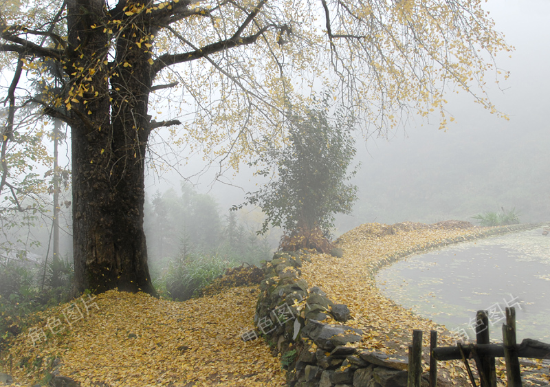 DSC_8257 ����.jpg