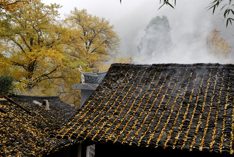 DSC_8321 ����.jpg