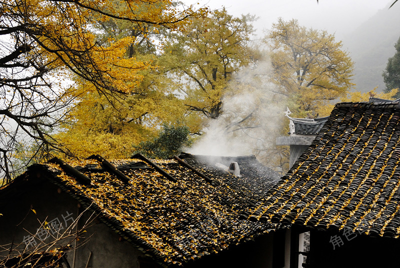 DSC_8348 ����.jpg