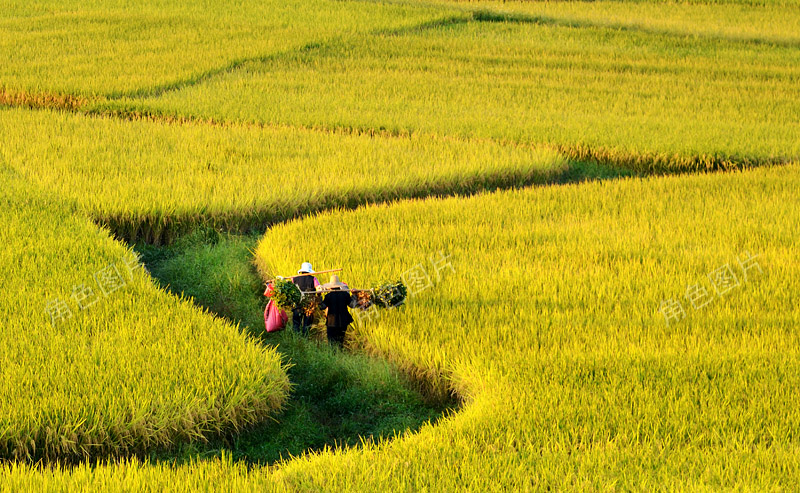 DSC_2236 ����2.jpg