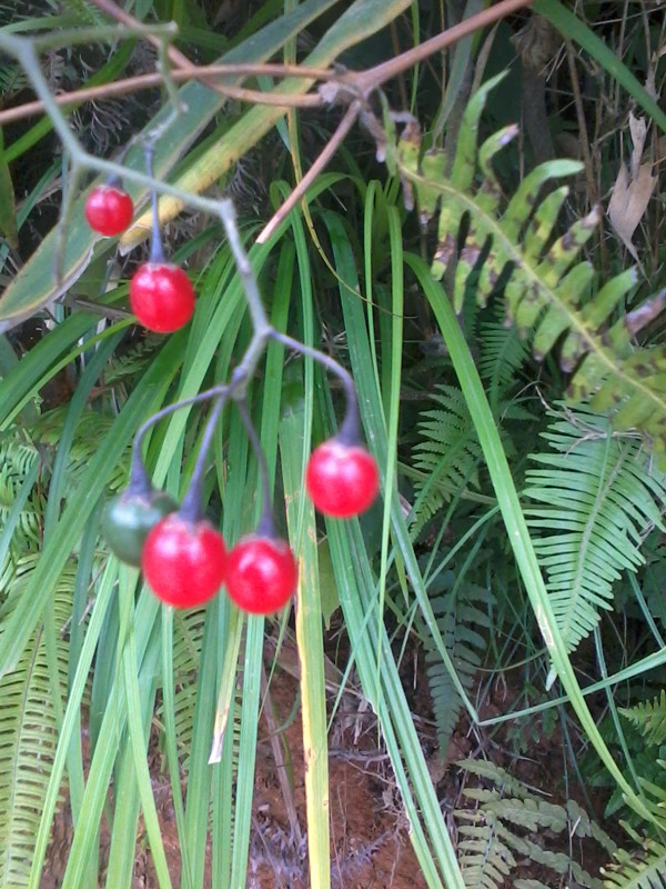 2012-11-24 12.30.47.jpg