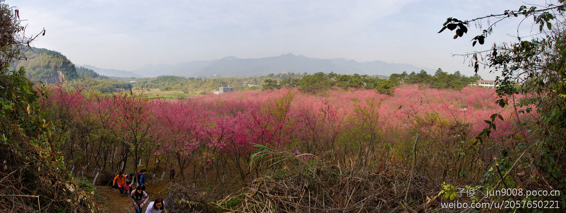 IMG_4368 Panorama.jpg