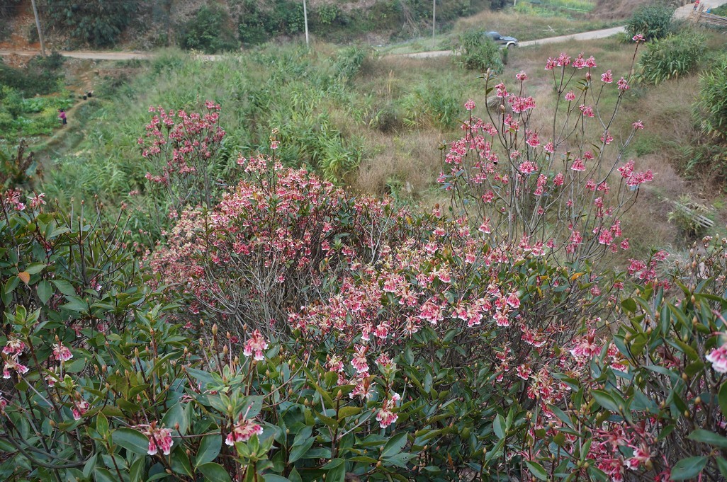 ���ӻ� 8.jpg