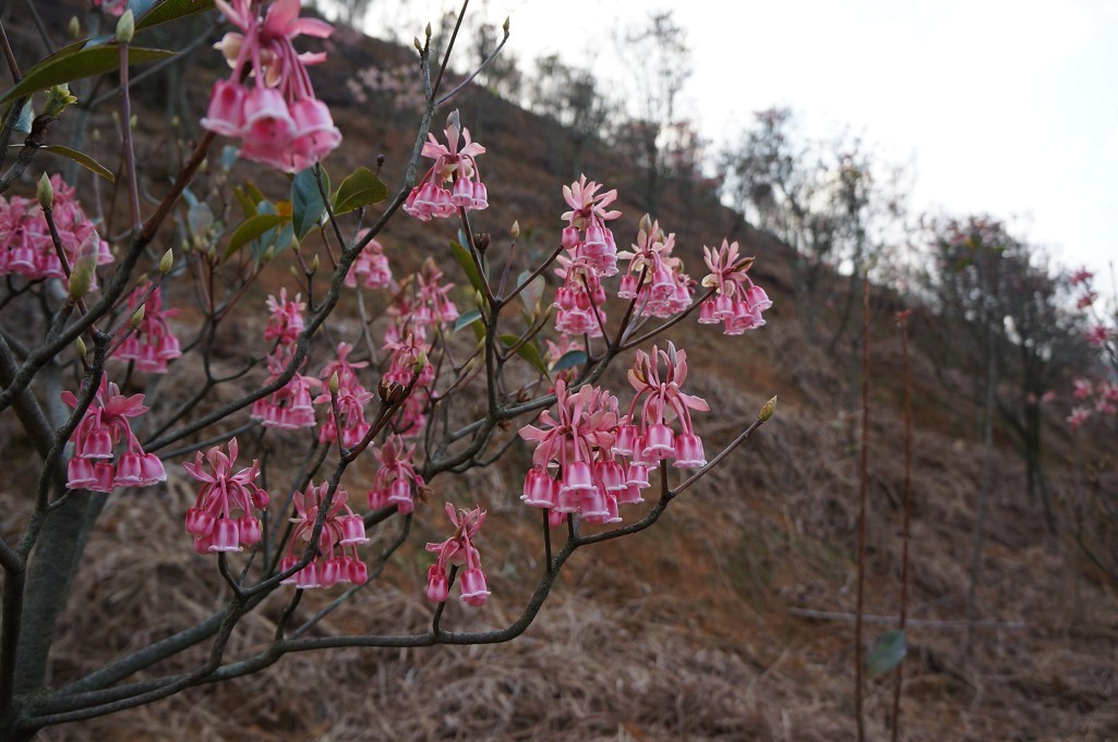 ���ӻ� 4.jpg