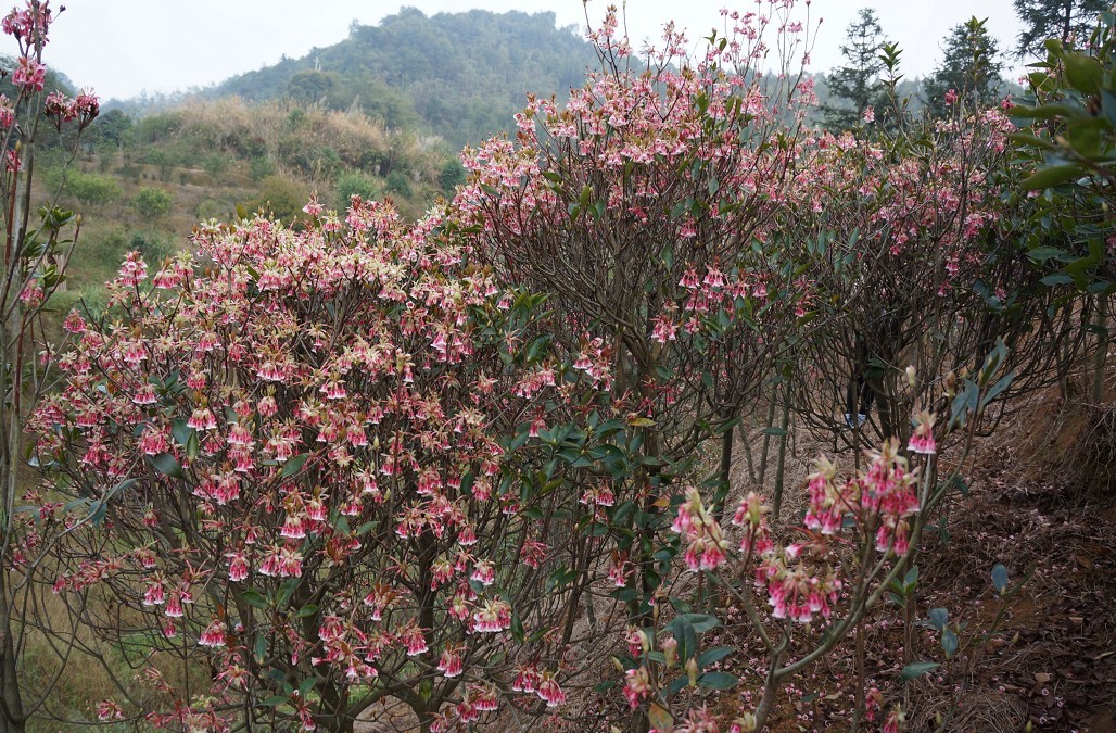 ���ӻ� 2.jpg