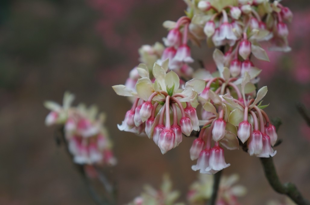 ���ӻ� 3.jpg