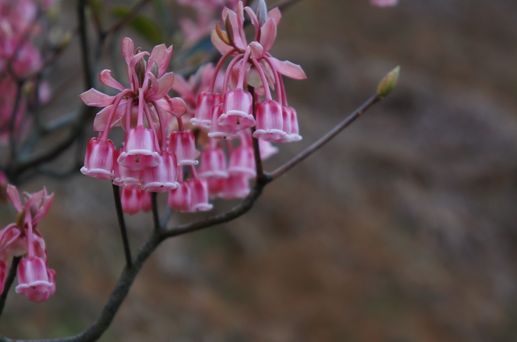 ���ӻ� 5.jpg